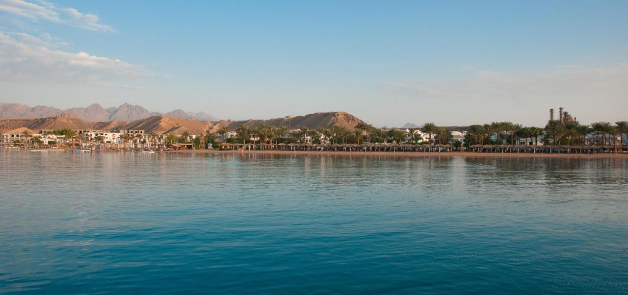 Iberotel Palace - Adults Friendly 16 Years 5* Şarm El-Şeyh