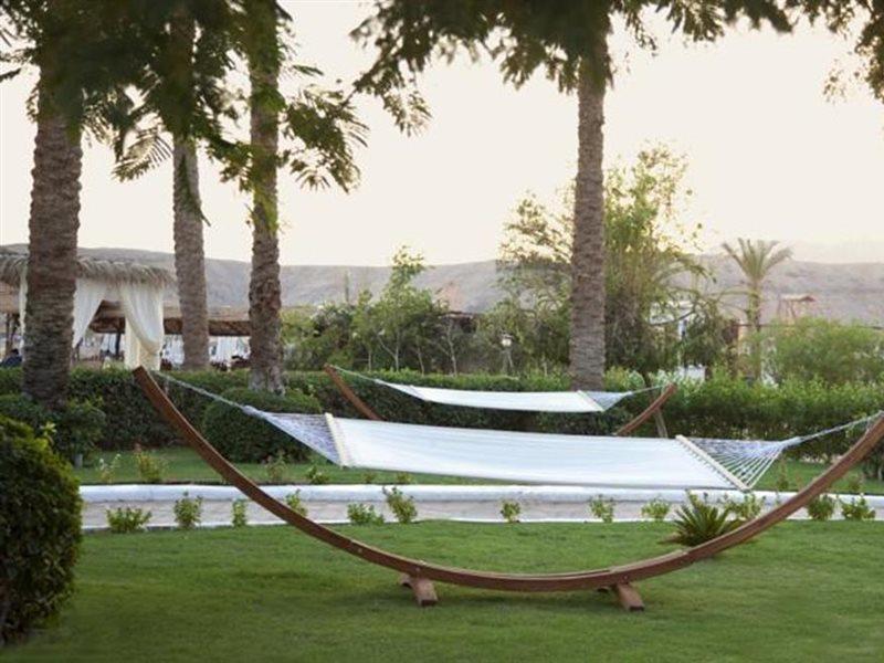 Iberotel Palace - Adults Friendly 16 Years